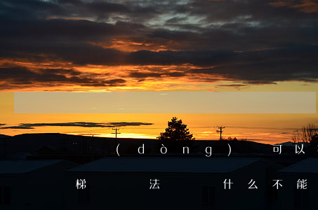 電動(dòng)車可以推進(jìn)貨梯嗎違法嗎(為什么不能把電車推進(jìn)電梯)