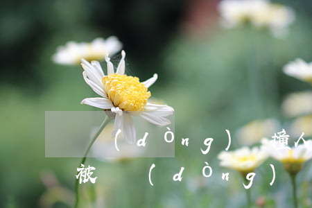 電動(dòng)車撞人骨折一般賠多少錢(被電動(dòng)車撞骨折了要求賠償多少合理)