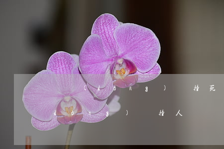 電動(dòng)車撞死人賠多少錢(電動(dòng)車撞人輕傷賠多少錢)