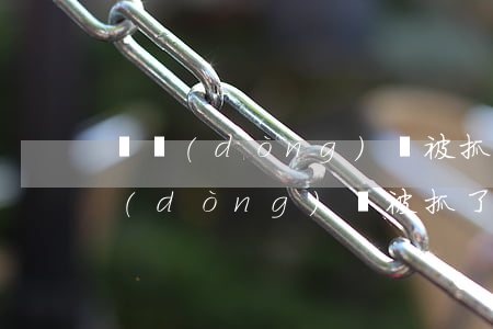 電動(dòng)車被抓了罰款多少錢(電動(dòng)車被抓了罰款多少錢)