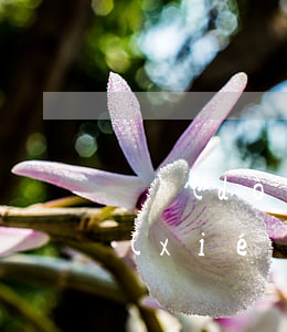 電動(dòng)車轉(zhuǎn)讓協(xié)議書范本(電動(dòng)車轉(zhuǎn)讓協(xié)議怎么寫有效)
