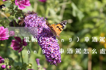 電動(dòng)車酒駕怎么處理(電動(dòng)車酒駕怎么處理2021)