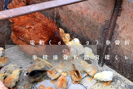 電動(dòng)車骨折賠償20萬(騎電瓶車被撞骨折賠償標(biāo)準(zhǔn))
