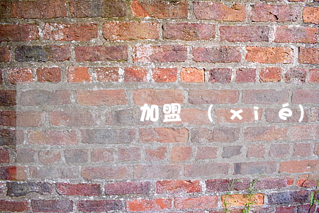 電動車加盟協(xié)議