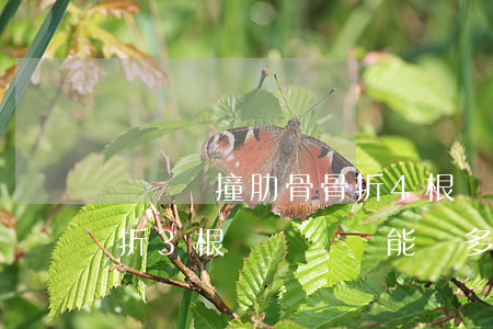 電動車撞肋骨骨折4根賠多少錢(車禍肋骨骨折3根幾級傷殘,能賠多少錢)
