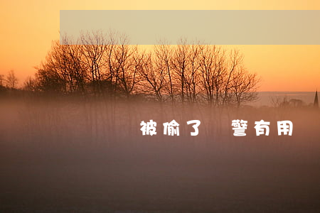 電動車被偷了報警有用嗎