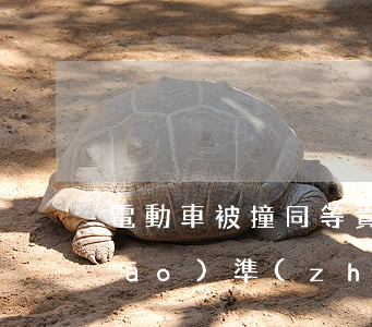 電動車被撞同等責(zé)任賠償標(biāo)準(zhǔn)(電動車相撞賠償標(biāo)準(zhǔn))