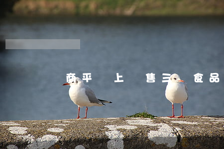 電商平臺上銷售三無食品如何處罰