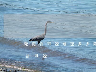 電商許可證辦理多少錢(開電商平臺需要何種許可證)
