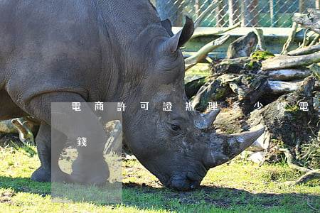 電商許可證辦理多少錢(電商許可證辦理多少錢)