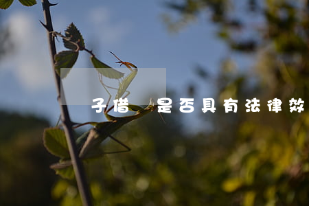 電子借條是否具有法律效力