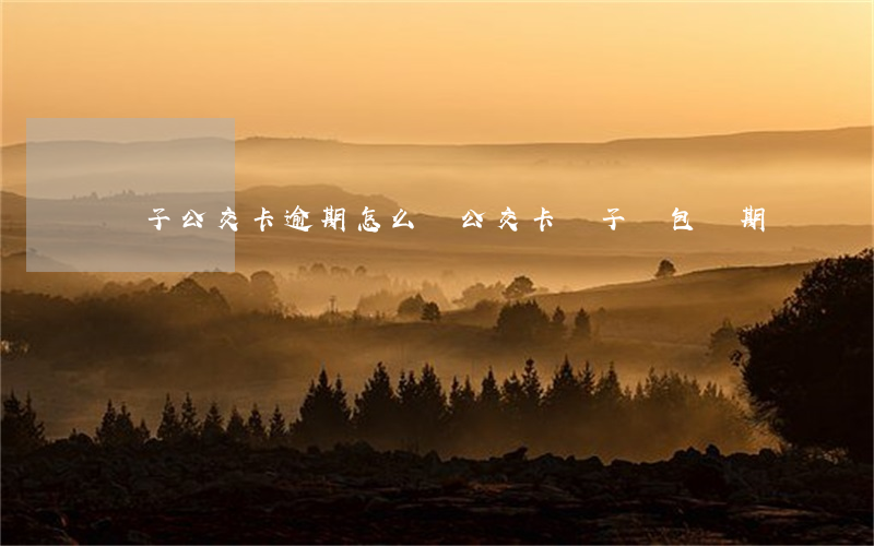 電子公交卡逾期怎么辦(公交卡電子錢包過期)