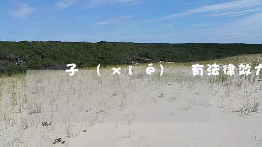 電子協(xié)議有法律效力嗎