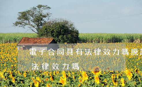 電子合同具有法律效力嗎(騰訊電子合同具有法律效力嗎)