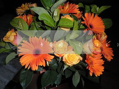 電子合同書(shū)