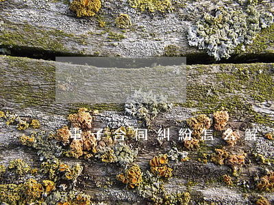 電子合同糾紛怎么解決