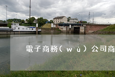 電子商務(wù)公司商家加盟合同