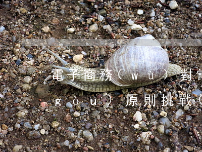 電子商務(wù)對常設(shè)機構(gòu)原則挑戰(zhàn)的后果是什么