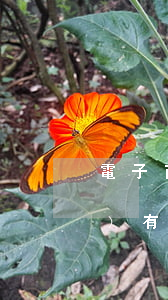 電子商務(wù)對稅收管轄權(quán)有什么影響