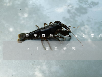 電子商務(wù)案件司法管轄權(quán)問題研究