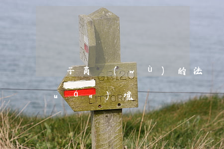電子商務(wù)的法規(guī)環(huán)境