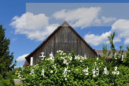 電子商務(wù)經(jīng)營(yíng)者銷售的商品應(yīng)該符合哪些要求