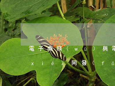 電子商務(wù)與電子政務(wù)協(xié)同發(fā)展有哪些基礎(chǔ)條件