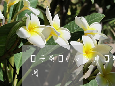 電子商務(wù)貨物銷(xiāo)售合同