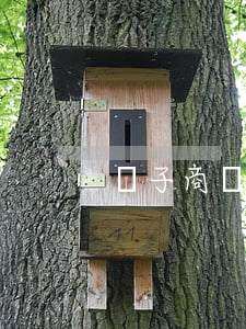 電子商務交易糾紛的解決途徑有哪些