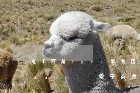 電子商業(yè)承兌匯票逾期后追索權(quán)-電子商業(yè)承兌匯票逾期后追索權(quán)怎么辦