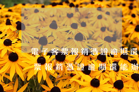 電子客票報銷憑證逾期還能辦理嗎-電子客票報銷憑證逾期還能辦理嗎怎么辦