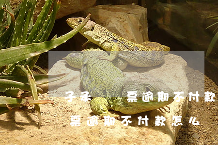 電子承兌匯票逾期不付款怎么辦-電子承兌匯票逾期不付款怎么辦理