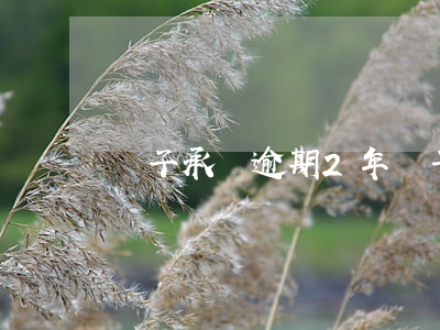 電子承兌逾期2年(電子承兌過期兩年了怎么辦)