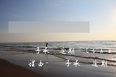 電子承兌逾期說(shuō)明一般找什么理由-電子承兌逾期說(shuō)明一般找什么理由呢