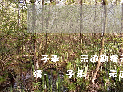 電子承兌顯示逾期提示付款已結(jié)清-電子承兌顯示逾期提示付款已結(jié)清什么意思