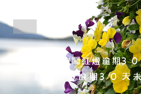 電子抓拍闖紅燈逾期30天未處理-電子抓拍闖紅燈逾期30天未處理會怎么樣