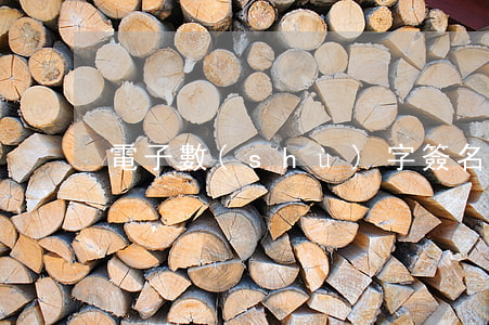 電子數(shù)字簽名