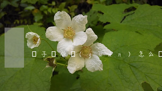 電子書版權(quán)怎么購買