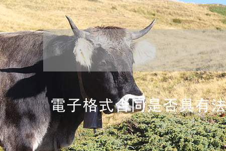 電子格式合同是否具有法律效力