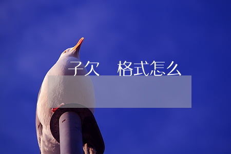 電子欠條格式怎么寫(簡單欠條格式)