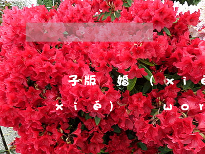 電子版離婚協(xié)議書下載(離婚協(xié)議書word版下載)