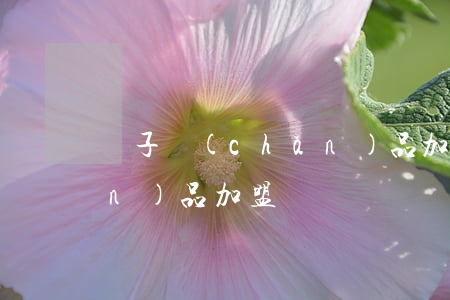 電子產(chǎn)品加盟(電子產(chǎn)品加盟辦廠)