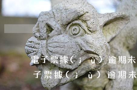 電子票據(jù)逾期未兌付原因說明-電子票據(jù)逾期未兌付原因說明怎么寫