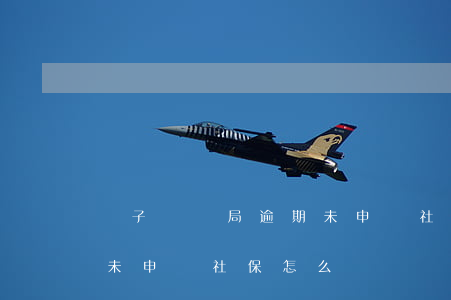 電子稅務局逾期未申報社保 電子稅務局逾期未申報社保怎么辦