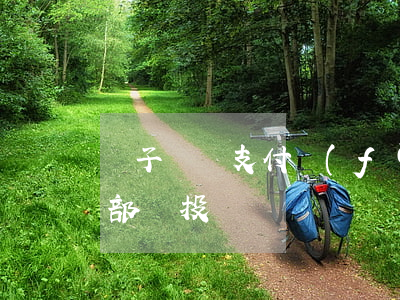 電子貨幣支付發(fā)生糾紛可以到哪個部門投訴