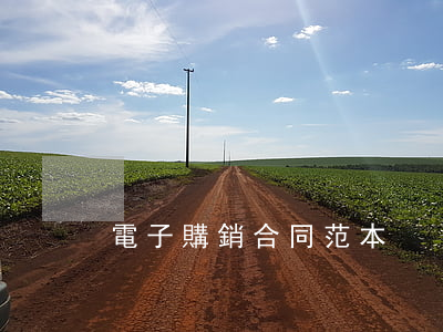 電子購銷合同范本