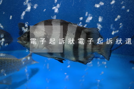 電子起訴狀(電子起訴狀還需要按手印嗎)