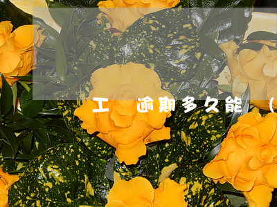 電工證逾期多久能復(fù)審(電工證延期)