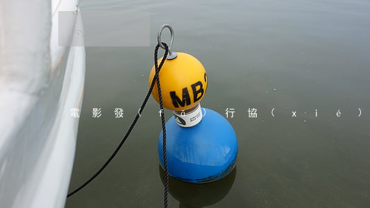 電影發(fā)行協(xié)議書