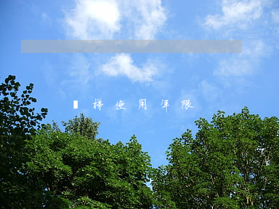 電梯使用年限
